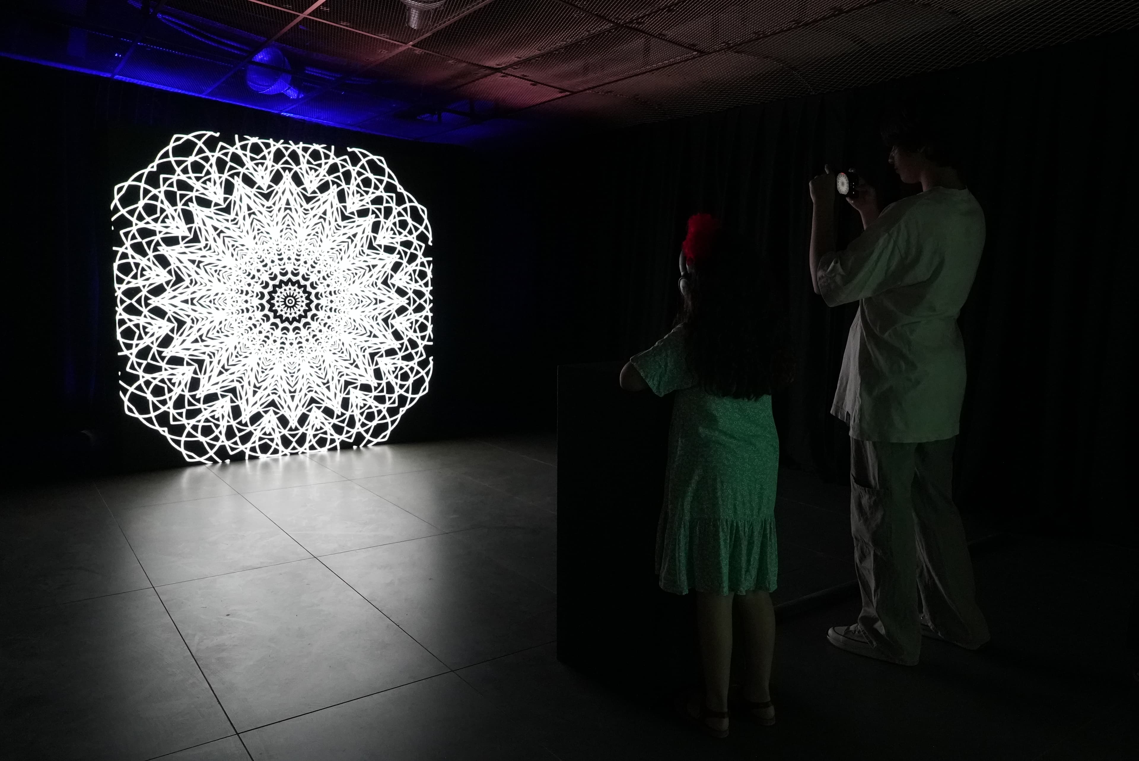 Dantel Video Installation, detail view