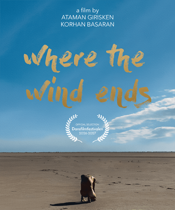 Where the Wind Ends